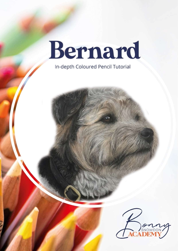 Bernard Step by Step Tutorial - PDF Download