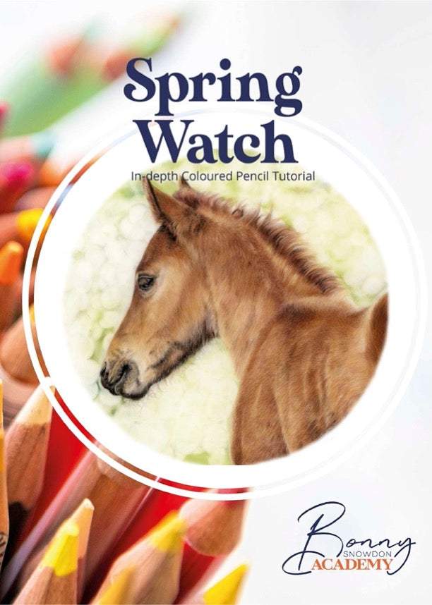 Spring Watch Step by Step Tutorial - PDF Download